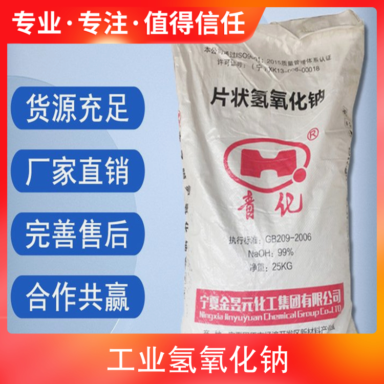 骚比在线